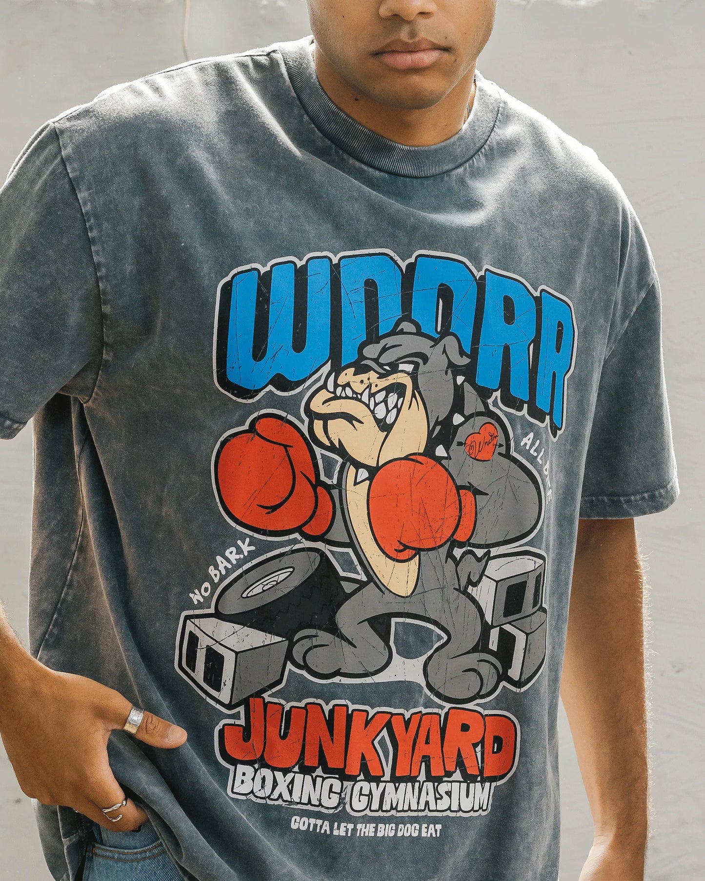 WNDRR Junkyard Fit Mens Tee - Washed Grey