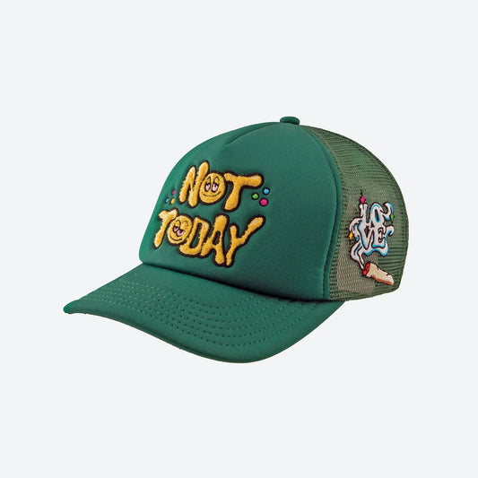 DGK Not Today Snapback Trucker Cap - Green