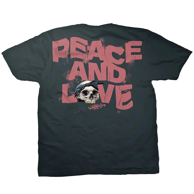 DGK Peace And Love Mens Tee - Vintage Black
