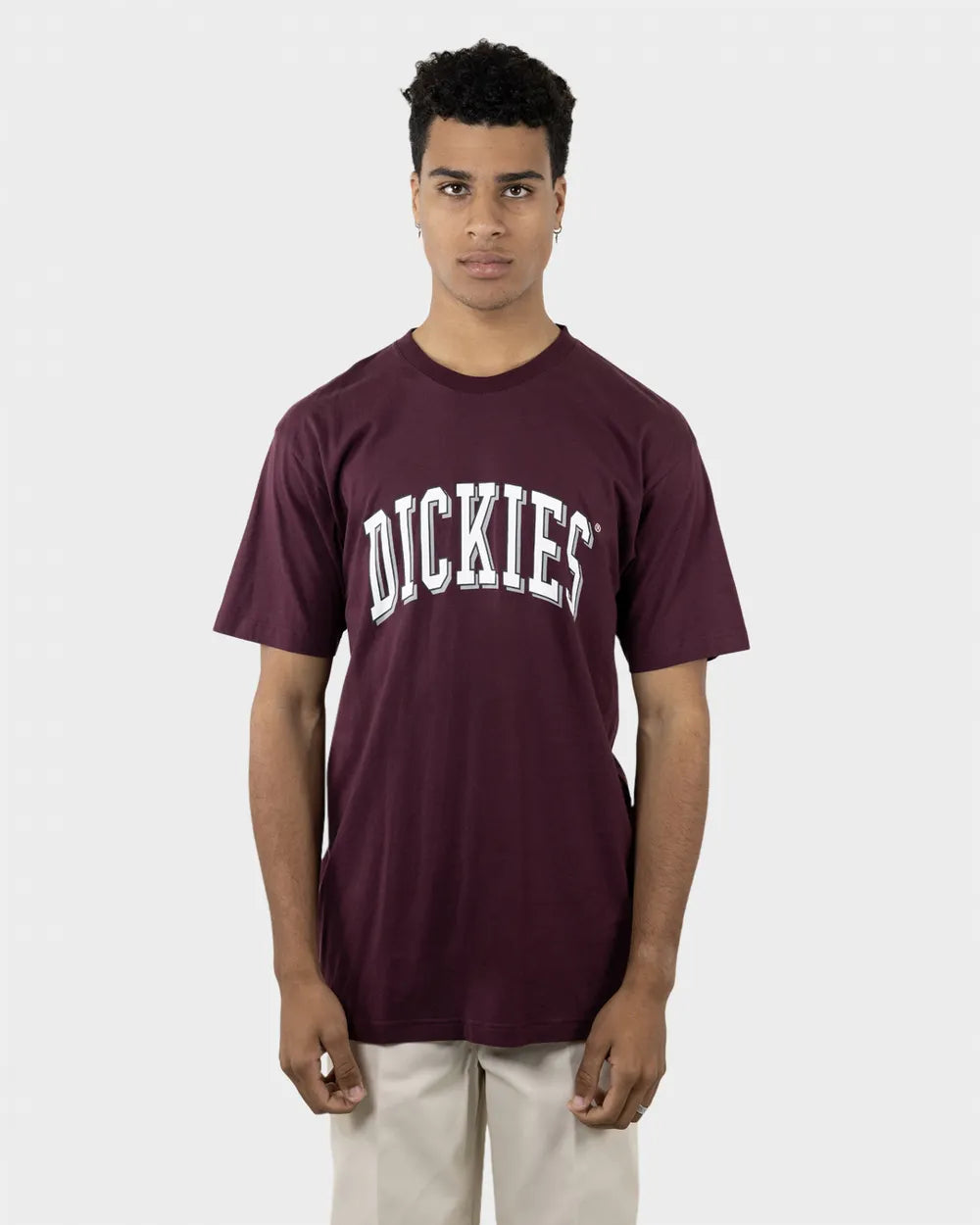 DICKIES Longview Classic Fit Mens Tee - Port