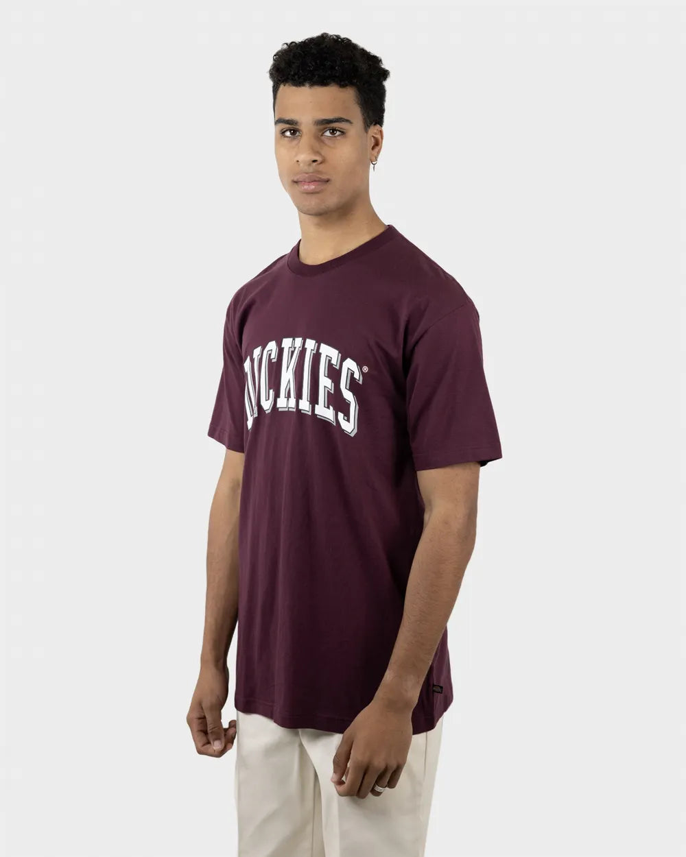 DICKIES Longview Classic Fit Mens Tee - Port