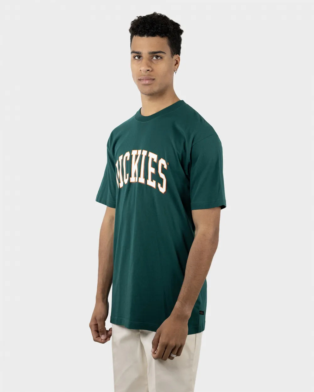 DICKIES Longview Classic Fit Mens Tee - Spruce